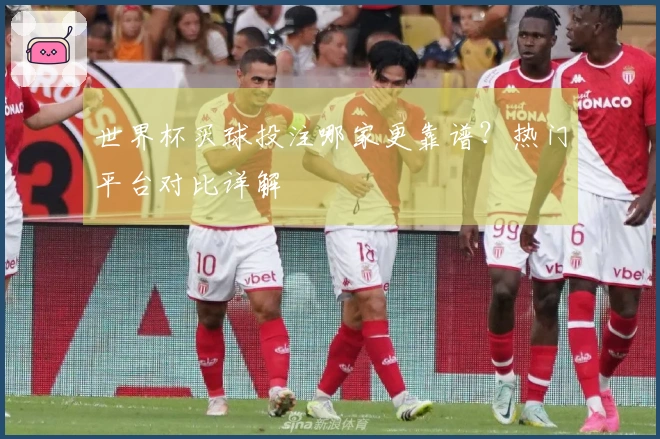 世界杯买球投注哪家更靠谱？热门平台对比详解