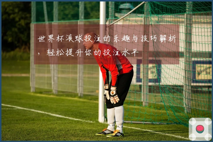 世界杯滚球投注的乐趣与技巧解析，轻松提升你的投注水平