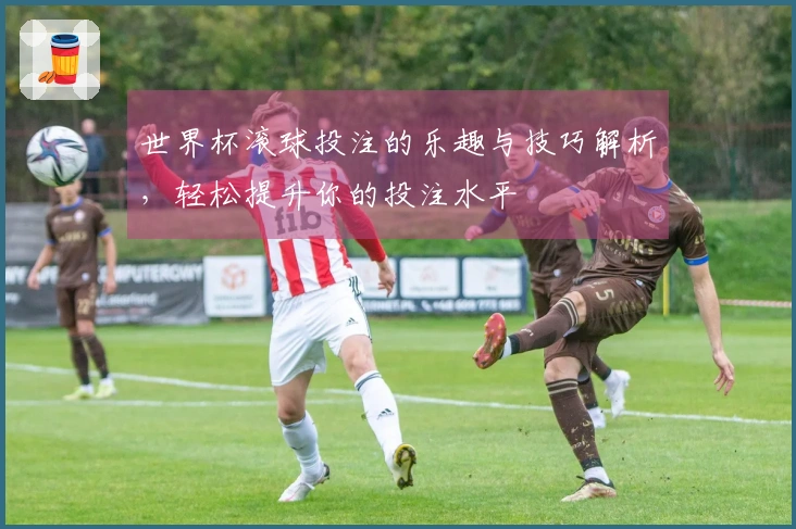 世界杯滚球投注的乐趣与技巧解析，轻松提升你的投注水平