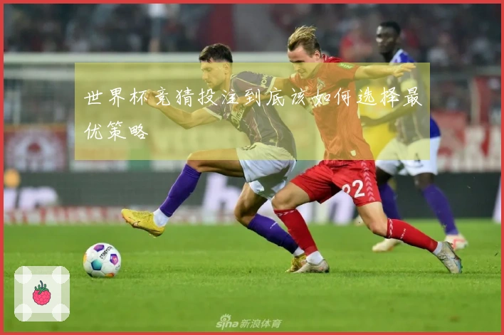 世界杯竞猜投注到底该如何选择最优策略