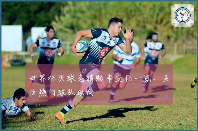 世界杯买球竞猜赔率变化一览，关注热门球队动向