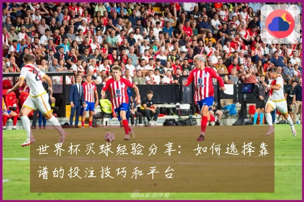 世界杯买球经验分享：如何选择靠谱的投注技巧和平台