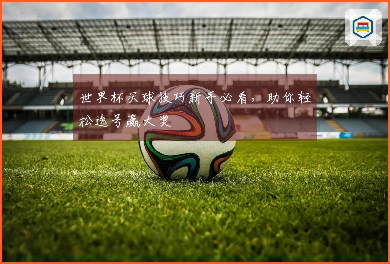 世界杯买球技巧新手必看，助你轻松选号赢大奖