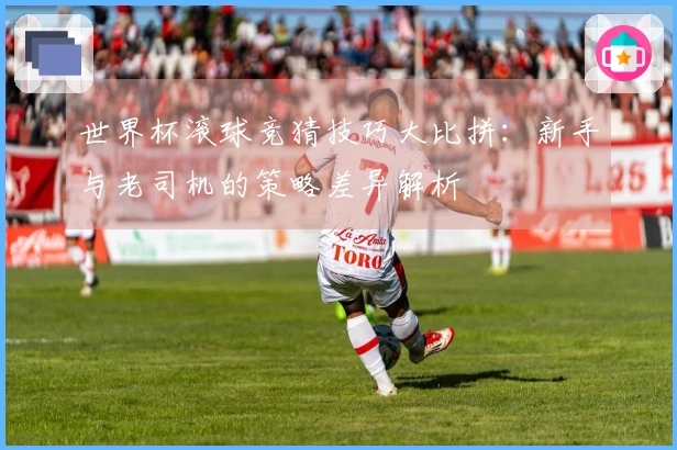 世界杯滚球竞猜技巧大比拼：新手与老司机的策略差异解析