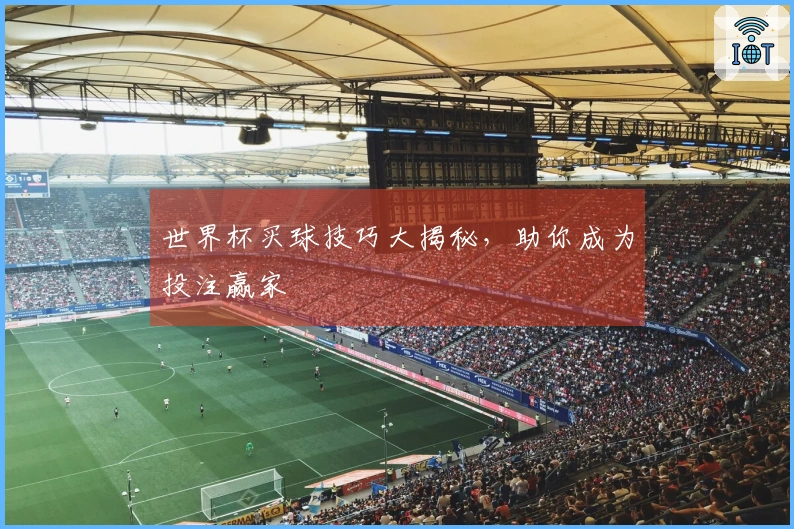 世界杯买球技巧大揭秘，助你成为投注赢家