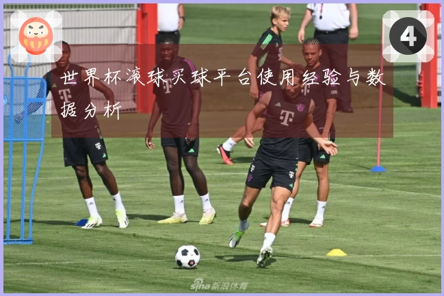 世界杯滚球买球平台使用经验与数据分析