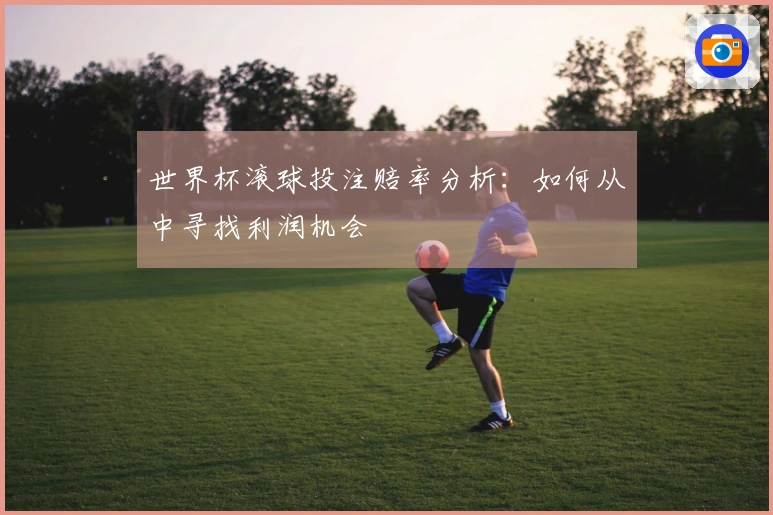 世界杯滚球投注赔率分析：如何从中寻找利润机会