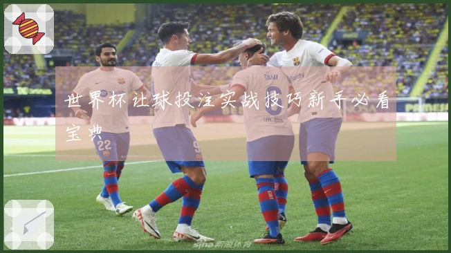 世界杯让球投注实战技巧新手必看宝典