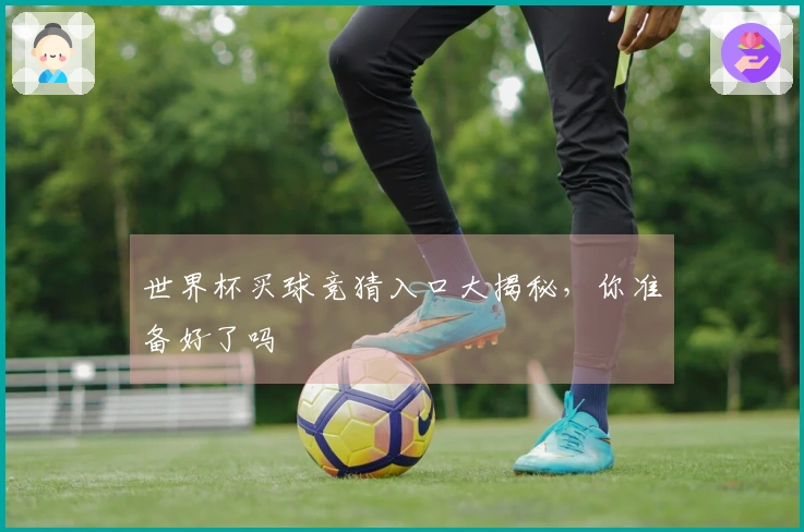 世界杯买球竞猜入口大揭秘，你准备好了吗