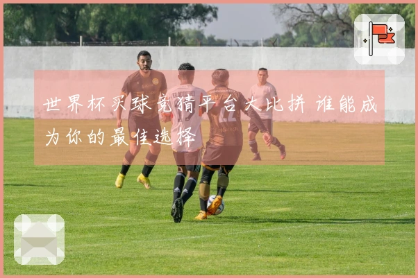 世界杯买球竞猜平台大比拼 谁能成为你的最佳选择