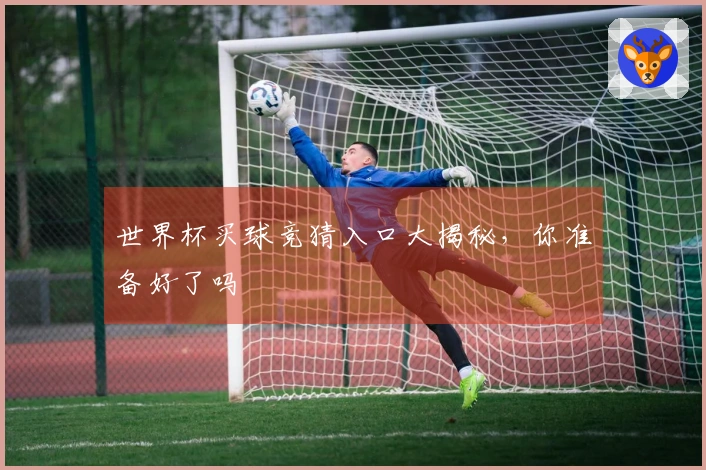 世界杯买球竞猜入口大揭秘，你准备好了吗