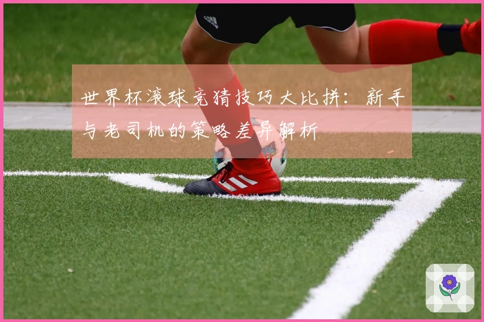 世界杯滚球竞猜技巧大比拼：新手与老司机的策略差异解析