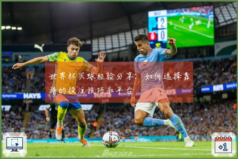 世界杯买球经验分享：如何选择靠谱的投注技巧和平台