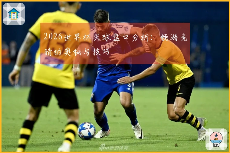 2026世界杯买球盘口分析：畅游竞猜的奥秘与技巧