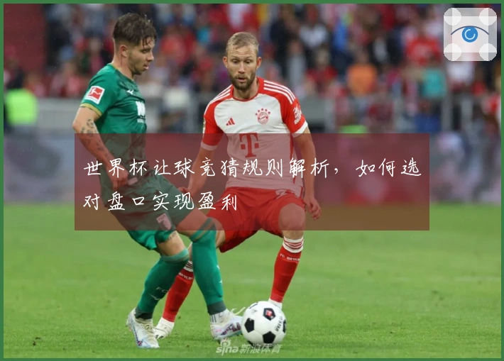 世界杯让球竞猜规则解析，如何选对盘口实现盈利