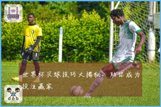 世界杯买球技巧大揭秘，助你成为投注赢家