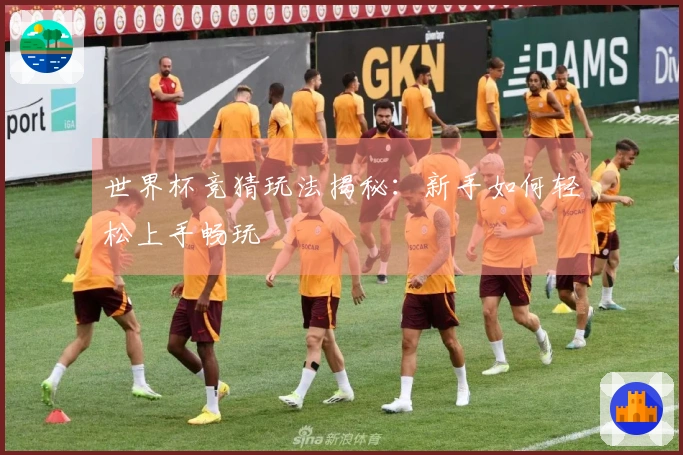 世界杯竞猜玩法揭秘：新手如何轻松上手畅玩