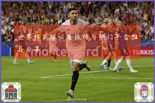 世界杯买球必看技巧与热门平台推荐分享