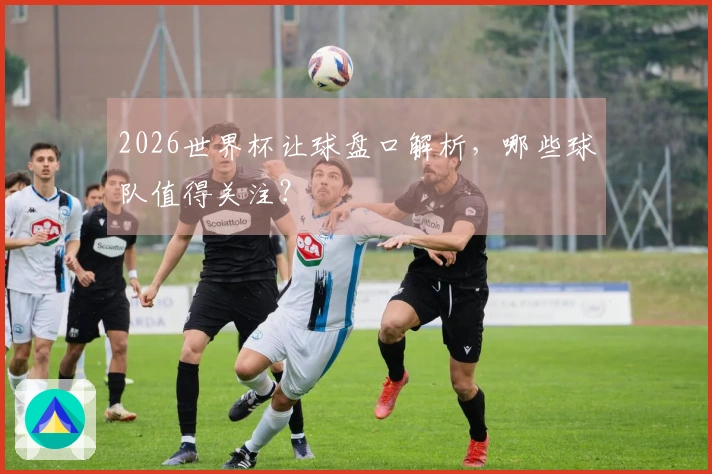 2026世界杯让球盘口解析，哪些球队值得关注？